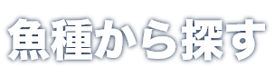 魚種から探す