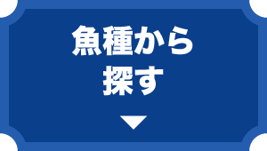 魚種から探す