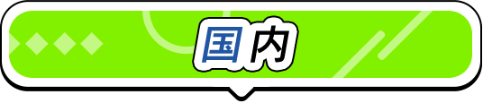 国内