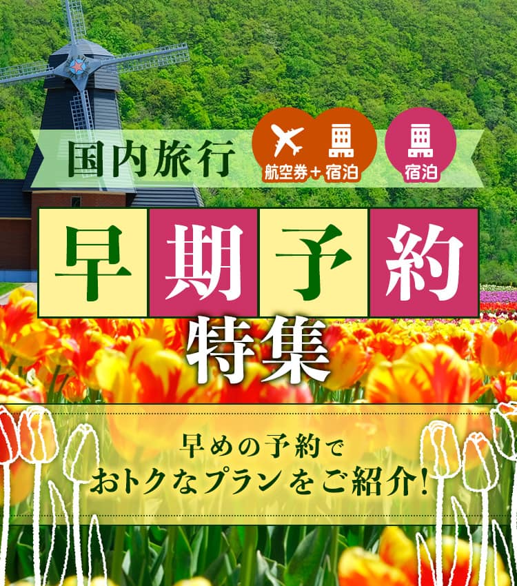 国内旅行（航空券＋宿泊・宿泊） 早期予約特集 早めの予約でおトクなプランをご紹介！