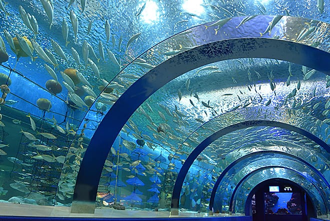 浅虫水族館（イメージ）