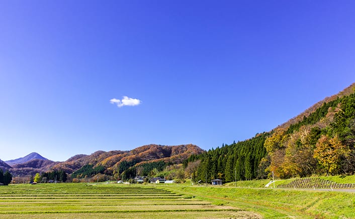 写真提供：宮城県観光戦略課