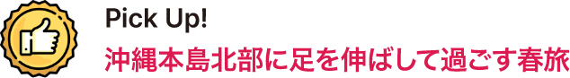 沖縄本島北部に足を伸ばして過ごす春旅