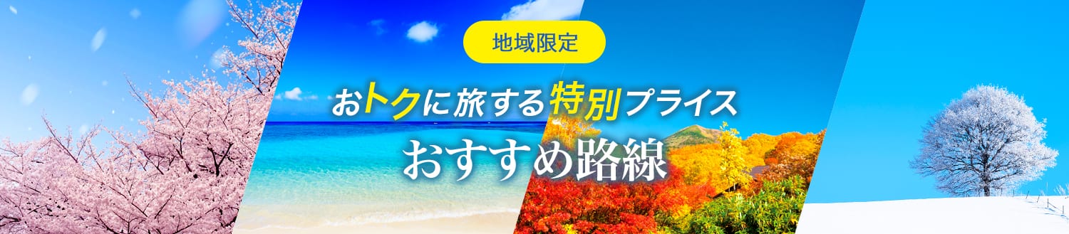 地域限定 おトクに旅する特別プライス おすすめ路線