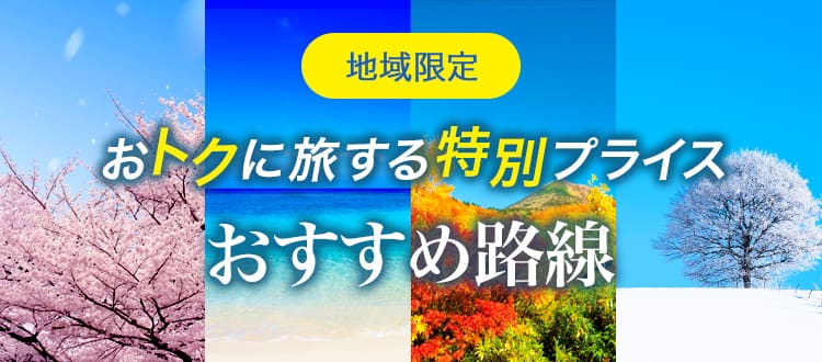 地域限定 おトクに旅する特別プライス おすすめ路線