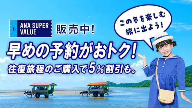 ANA SUPER VALUE 販売中！ 早めの予約がおトク！ 往復旅程のご購入で5％割引も。 この冬を楽しむ旅に出よう！