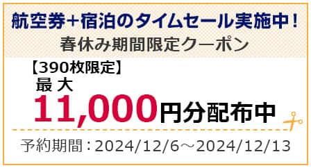 ANA SUPER VALUE～早割（早期割引）運賃でおトクな航空券のご予約|ANA