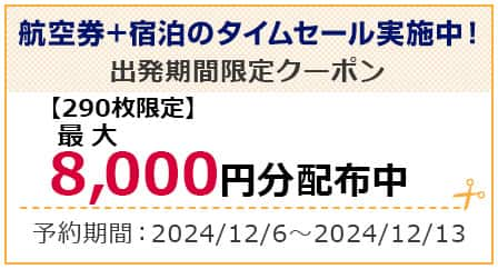 ANA SUPER VALUE～早割（早期割引）運賃でおトクな航空券のご予約|ANA