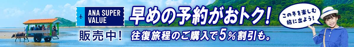 ANA SUPER VALUE 販売中！ 早めの予約がおトク！ 往復旅程のご購入で5％割引も。 この冬を楽しむ旅に出よう！