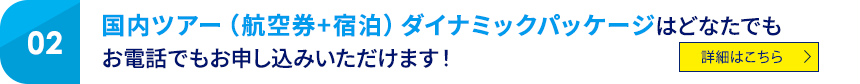 02 国内ツアー（航空券＋宿泊）ダイナミックパッケージはどなたでもお電話でもお申し込みいただけます！ 詳細はこちら