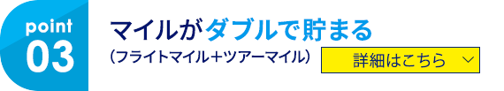 03 マイルがダブルで貯まる（フライトマイル＋ツアーマイル） 詳細はこちら