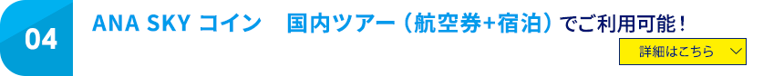 04 ANA SKY コイン 国内ツアー（航空券＋宿泊）でご利用可能！ 詳細はこちら