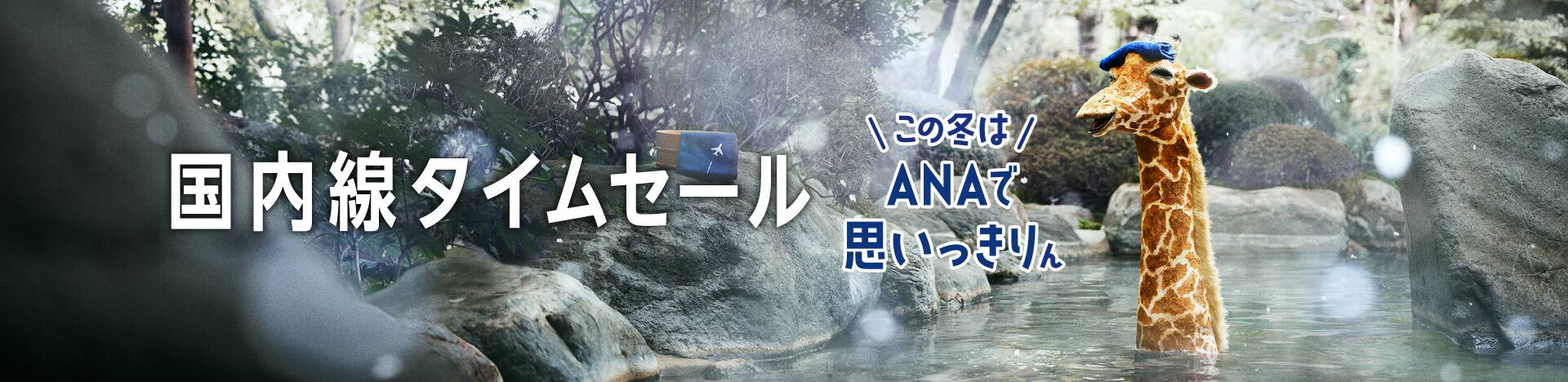 期間限定 Ana Super Value Sale タイムセール Ana