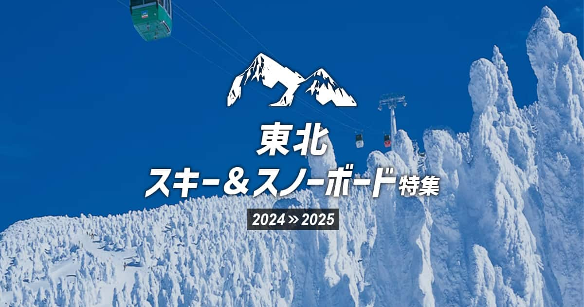 ビッグホリデー ANA 全日空 1991年 人気 北海道 スキーツアー パンフレット