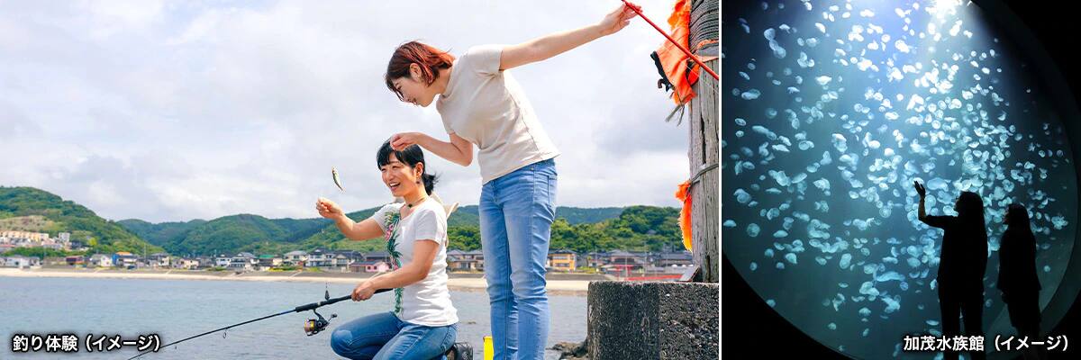 釣り体験（イメージ）加茂水族館（イメージ）