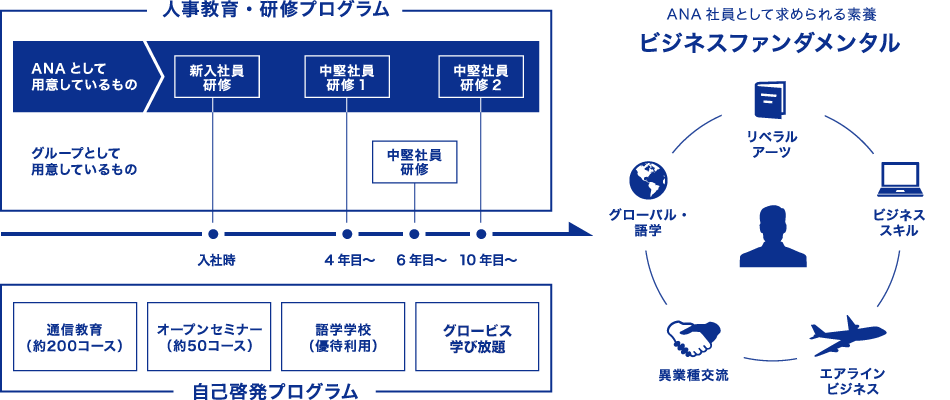 人事教育・研修プログラムは、ANAとして用意しているプログラムと、グループ全体で用意しているプログラムがあります。その他にも、自己啓発プログラムとして通信教育や語学学校の優待利用等を用意しています。また、ANA社員として求められる素養としてビジネスファンダメンタルのプログラムを定めており、様々な文化・習慣・価値観などを理解し、能力を発揮できる人財を育成しています。