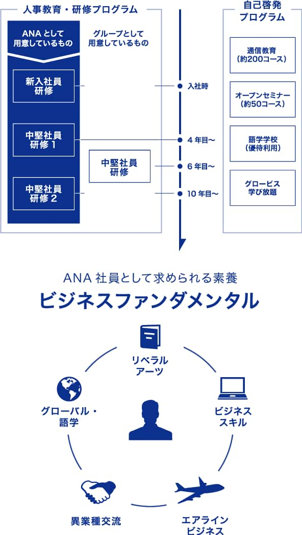 人事教育・研修プログラムは、ANAとして用意しているプログラムと、グループ全体で用意しているプログラムがあります。その他にも、自己啓発プログラムとして通信教育や語学学校の優待利用等を用意しています。また、ANA社員として求められる素養としてビジネスファンダメンタルのプログラムを定めており、様々な文化・習慣・価値観などを理解し、能力を発揮できる人財を育成しています。