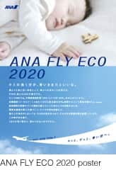 ANA FLY ECO 2020