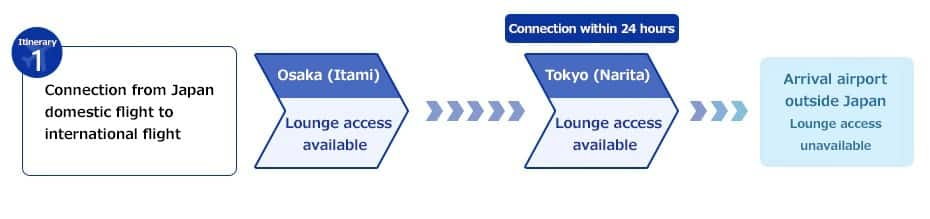 Process for Connecting From a Domestic to an International Flight