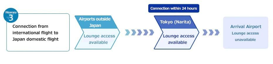 Process for Connecting From an International to a Domestic  Flight