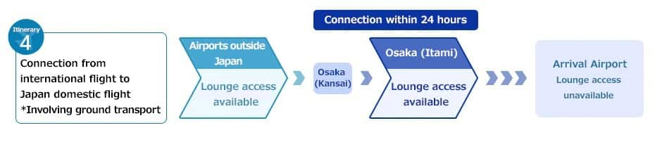 Process for Connecting From an International to a Domestic  Flight