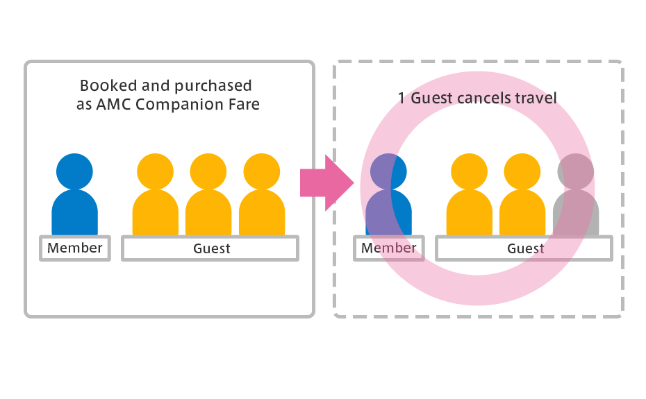 Image showing a change in the number of AMC Companion Fare passengers