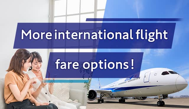 More international flight fare options.