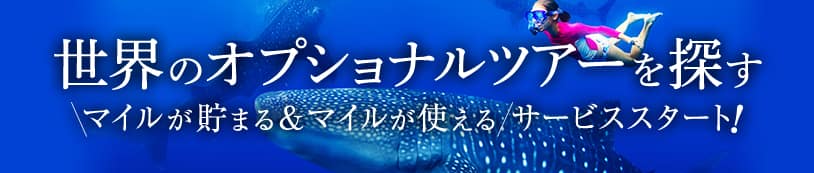 世界のオプショナルツアーを探す マイルが貯まる&マイルが使えるサービススタート!