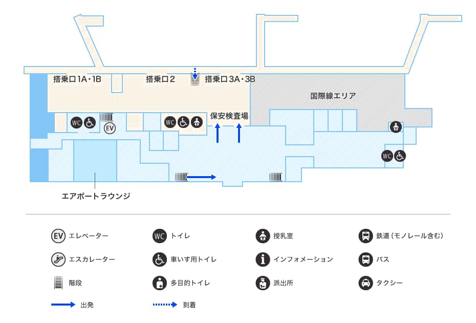 MAP画像