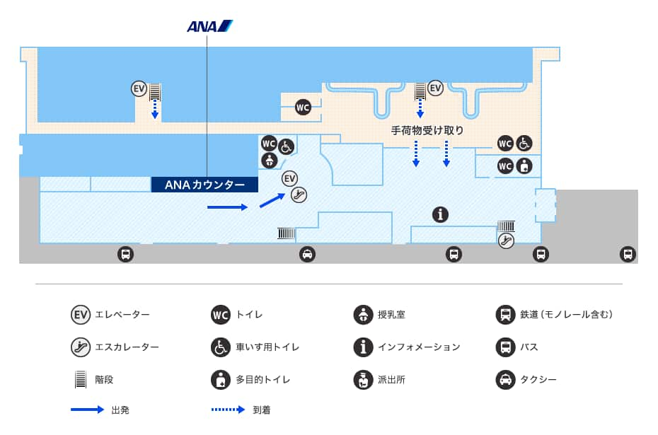 MAP画像