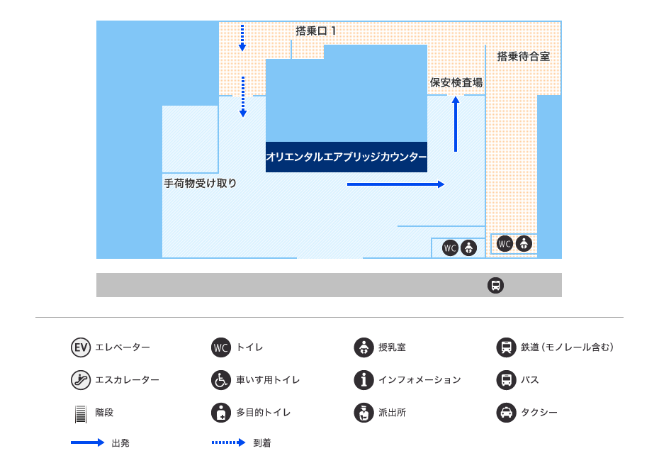 MAP画像