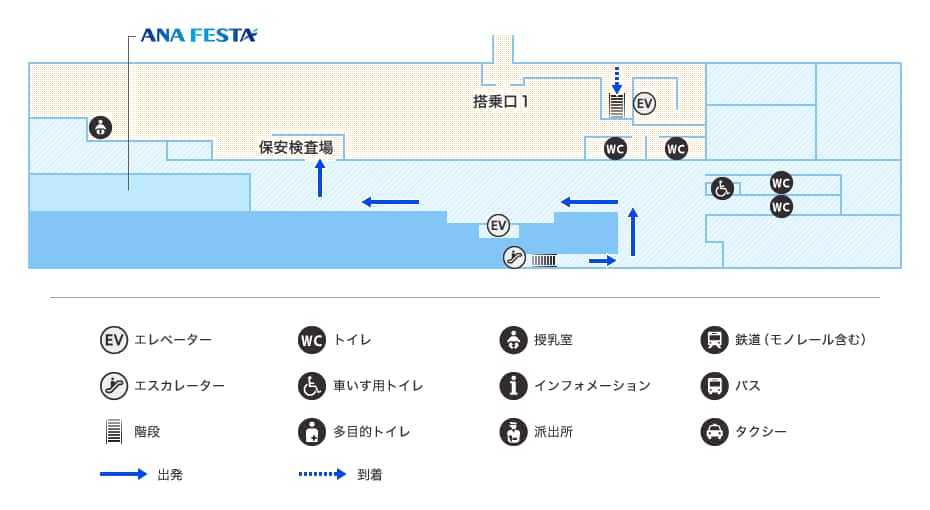 MAP画像