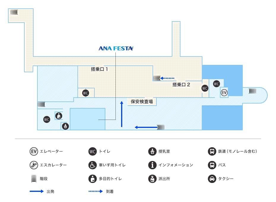 MAP画像