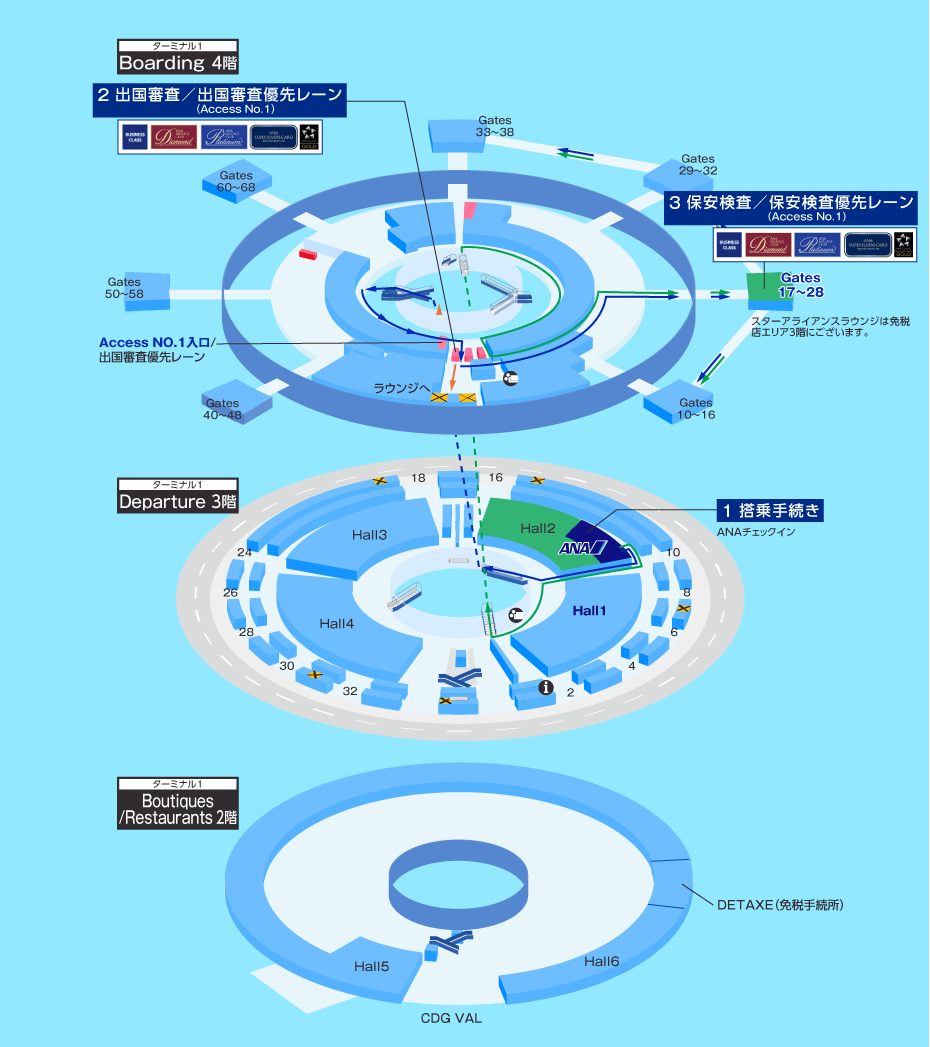 MAP画像