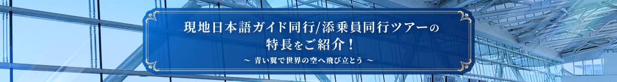 現地日本語ガイド同行/添乗員同行ツアーの特長をご紹介！ 青い翼で世界の空へ飛び立とう