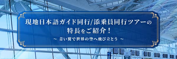 現地日本語ガイド同行/添乗員同行ツアーの特長をご紹介！ 青い翼で世界の空へ飛び立とう