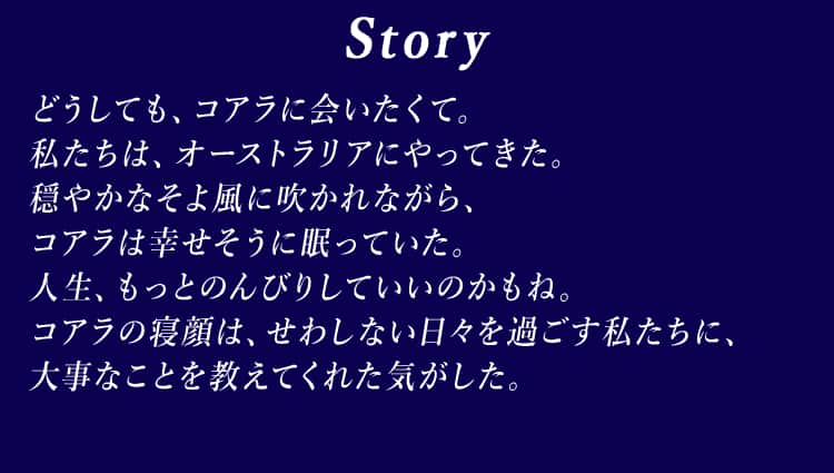 Story どうしても、コアラに会いたくて。私たちは、オーストラリアにやってきた。穏やかなそよ風に吹かれながら、コアラは幸せそうに眠っていた。人生、もっとのんびりしていいのかもね。コアラの寝顔は、せわしない日々を過ごす私たちに、大事なことを教えてくれた気がした。