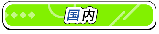 国内