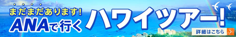 まだまだあります！ANAで行くハワイツアー 詳細はこちら