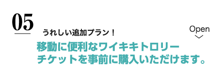 ワイキキトロリー乗り放題チケット付き！