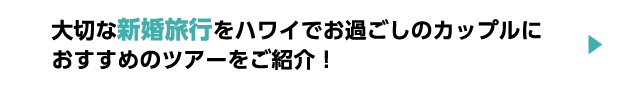 大切な新婚旅行をハワイでお過ごしのカップルにおすすめのツアーをご紹介！