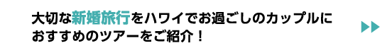 大切な新婚旅行をハワイでお過ごしのカップルにおすすめのツアーをご紹介！