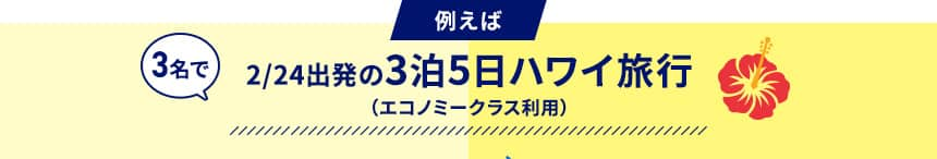 例えば3名で2/24出発の3泊5日ハワイ旅行 （エコノミークラス利用）