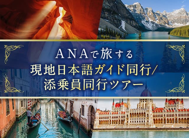 ANAで旅する 現地日本語ガイド同行/添乗員同行ツアー