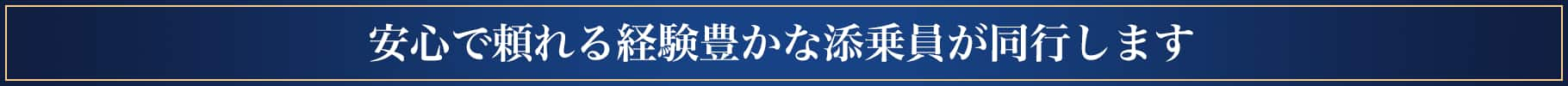 安心で頼れる経験豊かな添乗員が同行します