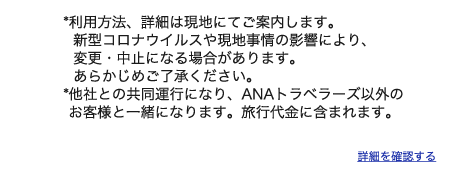 ポイント満載 ハワイツアー ハワイ旅行 ツアー Anaトラベラーズ