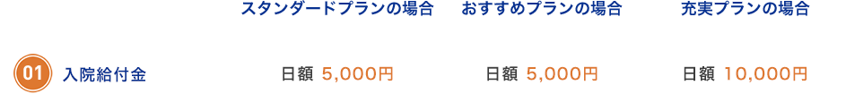 保障内容例