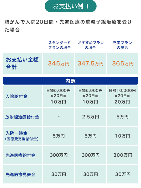 お支払い例1