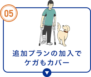 追加プランの加入でケガもカバー