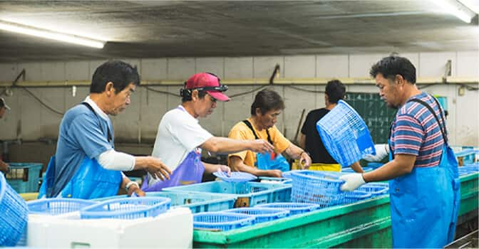 Himeshima Tiger Prawn farming Corp. Employees